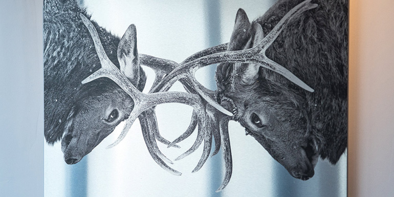 metal-print